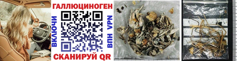 Галлюциногенные грибы Cubensis Купить где Алапаевск